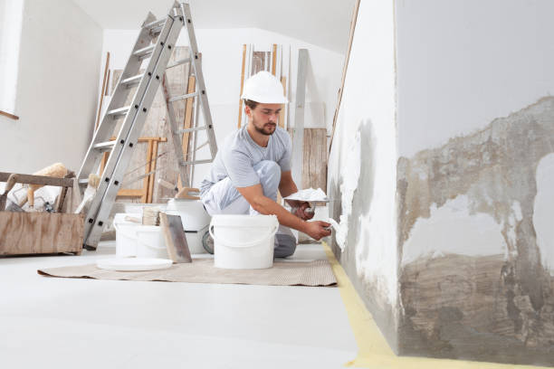 Best Commercial Painting  in Schaumburg, IL